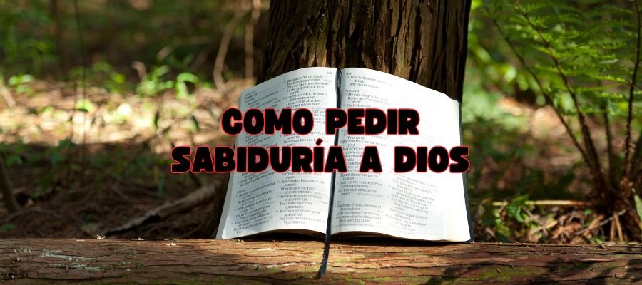 Imagen de portada mostrando una Biblia abierta sobre un tronco en medio de un bosque iluminado por la luz del sol, con el título "Cómo Pedir Sabiduría a Dios" en letras rojas contrastantes. La escena sugiere un entorno de reflexión y conexión con la naturaleza, evocando un espacio tranquilo para la oración y la meditación espiritual.