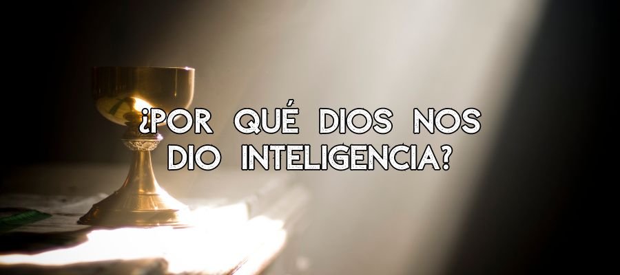 ¿Por qué Dios nos dio inteligencia?